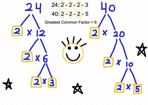 What is the greatest common factor of 24 and 40?