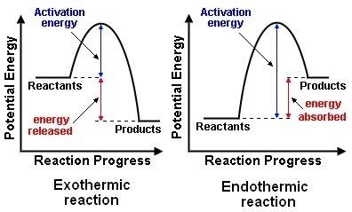 In an  process, the system releases heat that is absorbed by the ;  in an endothermic process, the