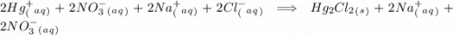 2Hg^+_(_a_q_) + 2NO_3^-_(_a_q_) + 2Na^+_(_a_q_) + 2Cl^- _(_a_q_) \implies Hg_2Cl_2_(_s_) + 2Na^+_(_a_q_) + 2NO_3^-_(_a_q_)