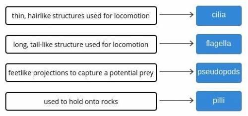 Match the physical characteristics of the organisms to their purpose. tiles pilli cilia flagella pse