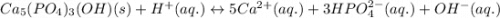 Ca_5(PO_4)_3(OH)(s)+H^+(aq.)\leftrightarrow 5Ca^{2+}(aq.)+3HPO_4^{2-}(aq.)+OH^-(aq.)