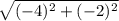 \sqrt{(-4)^{2}+(-2)^{2}}