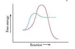 Which curve represents the spontaneous reaction, and which the nonspontaneous?