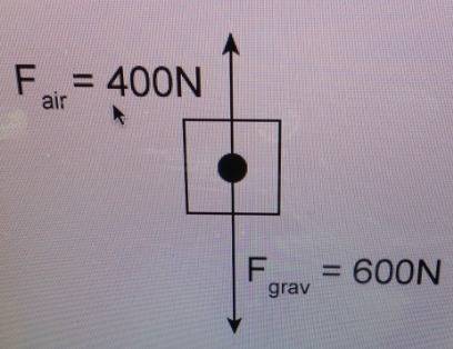 What is the net force of this object if it is 400 n up and 600 n down?