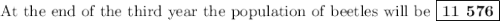 \text{At the end of the third year the population of beetles will be $\boxed{\textbf{11 576}}$}