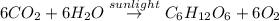 6CO_2+6H_2O\overset{sunlight}\rightarrow C_6H_{12}O_6+6O_2