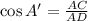 \cos A'=\frac{AC}{AD}