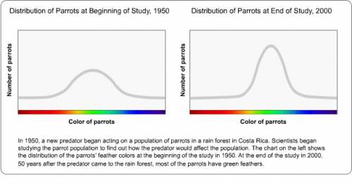 Which type of selection is illustrated by these two graphs?