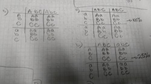 What is the probability that each of the following pairs of parents will produce the indicated offsp