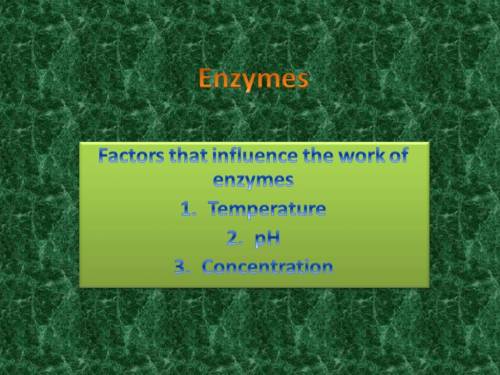 Biological catalysts involved in the acceleration of the rate of chemical reactions are called
