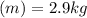 \left ( m\right )=2.9 kg