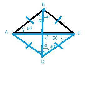 If you draw 2 equilateral triangles are congruent and share a side. what polygon is formed?  is it a