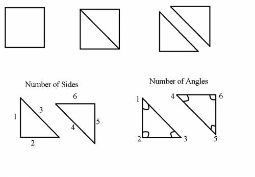 Jeff has a square of art paper .he cut it from one corner to the opposite corner to make two pieces.