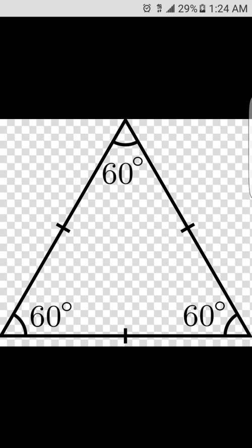 What does an acute , equilateral look like