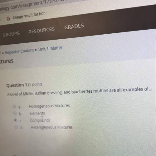 Abowl of m and m, italian dressing, and blueberries muffins are all examples homogeneous mixtures e