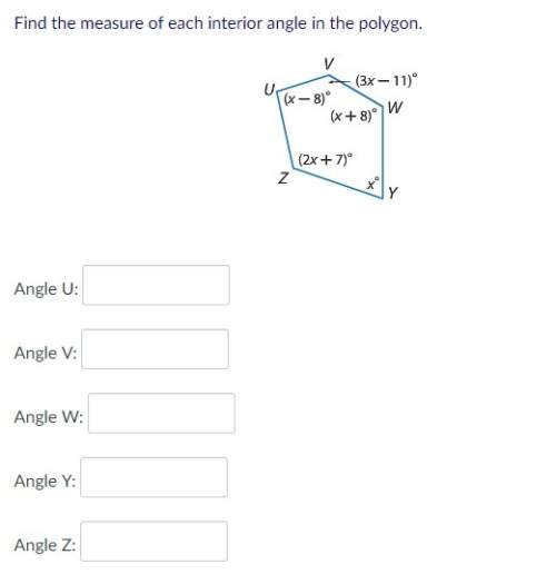 Find the measure of each interior angle in the polygon.