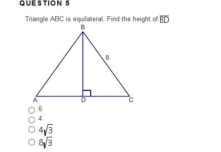 Triangle abc is equilateral. find the height of bd