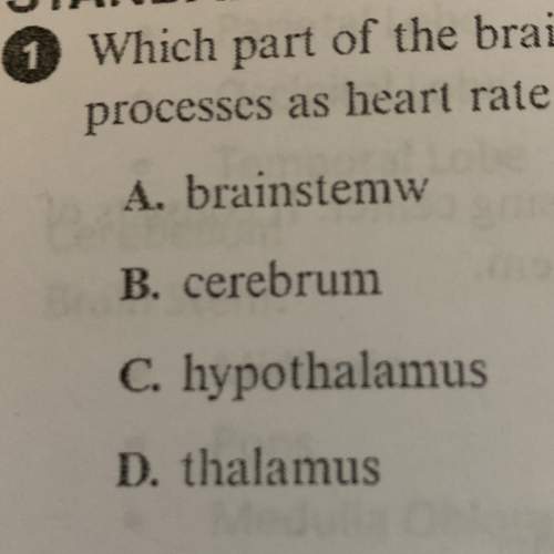 Which part of the brain plays a major role in homeostasis by regulating such processes as heart rate