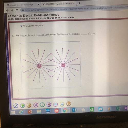 The diagram does not represent a real electric field because the field lines, can someone explain t