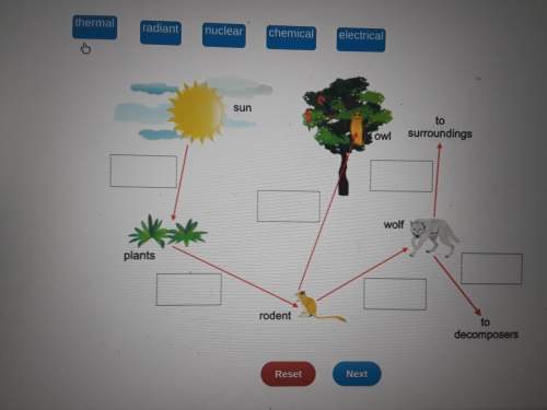 The diagram shows some of the steps in the flow of energy through an ecosystem. the arrows represent