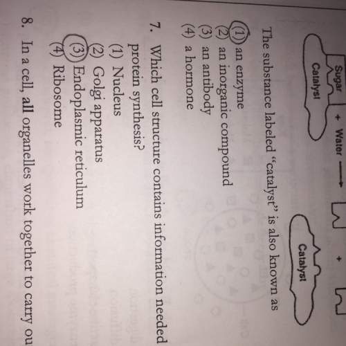 What is the correct answer for number 7 ? explain why
