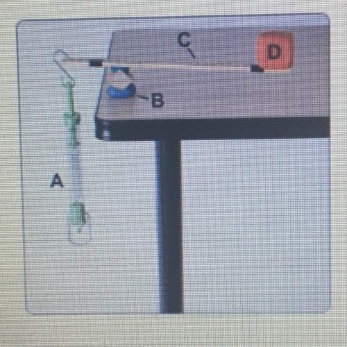 What is the effort force (input) in this picture from the levers lab? a) moving the fulcrum toward