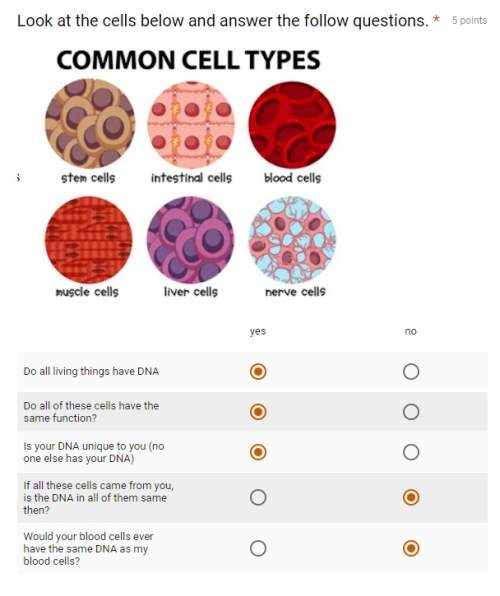 Just need someone to check this asap ! is it right?