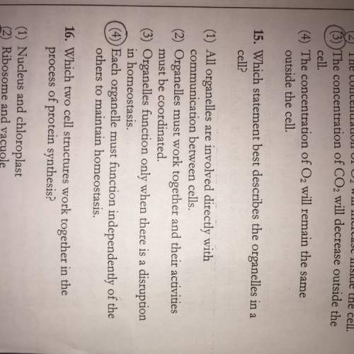 What’s the correct answer to number 15 ? explain why