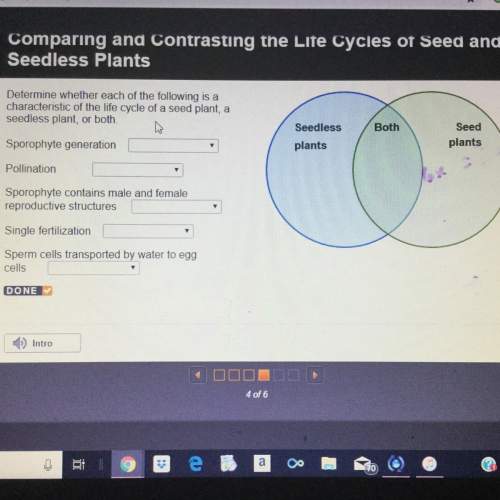 The options are: seedless seed both