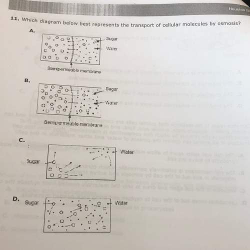 Which diagram below best represent the transports of cellular molecules by osmosis