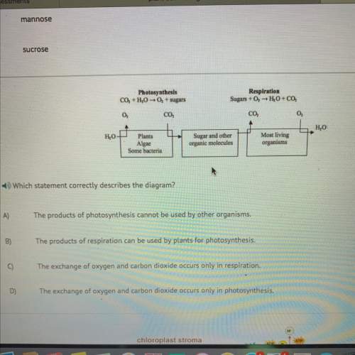 What statement correct describes the diagram