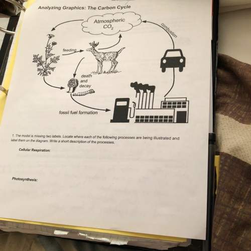 Carbon cycle can you guys me in cellular respiration and photosynthesis !