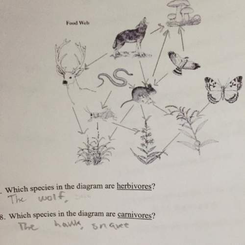 Which species in the diagram are herbivores and carnivores?