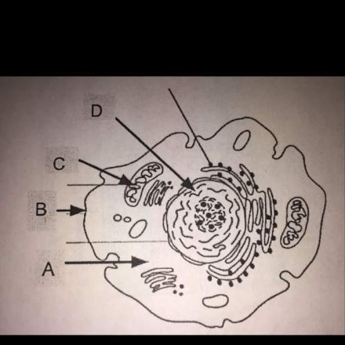 What’s the organelle for a,b,c and d ? answer this