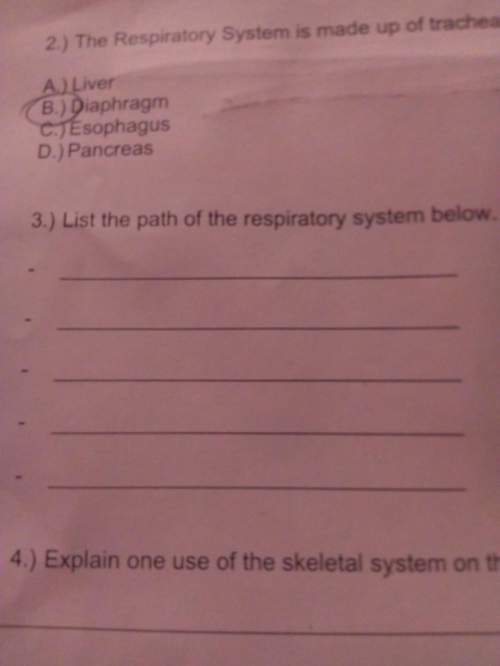 List the path of the respiratory system