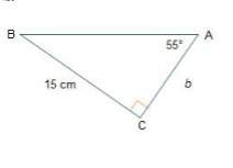 The equation tan(55o)= 15/b an be used to find the length of ac. what is the length of ac? round to