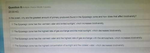 In the ocean why are the greatest amount of primary producers found in the epipelagic zone and how d