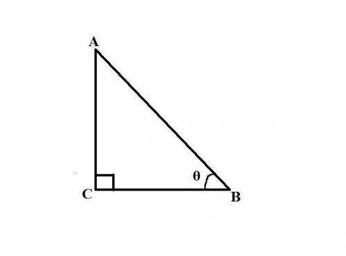 The cosine of an angle is the ratio of the opposite side over the hypotenuse. a. true b. false