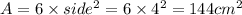 A=6\times side^2=6\times 4^2=144cm^2