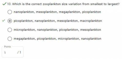 Which is the correct zooplankton size variation from smallest to largest?  a. microplankton, nanopla