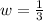 w = \frac{1}{3}