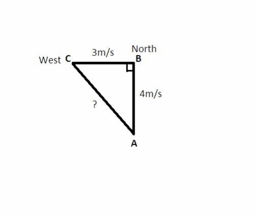Use the pythagorean theorem to answer the following question. a ping-pong ball is shot straight nort