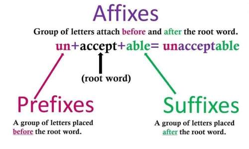 What are the root and affixes for the words:  -pandemic -disreputable -intracellular -mediate