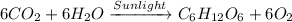 6CO_2+6H_2O\xrightarrow[]{Sunlight} C_6H_{12}O_6+6O_2