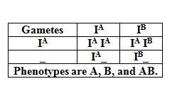 Aman with type a blood marries a woman with type ab blood. according to predicted outcomes based on