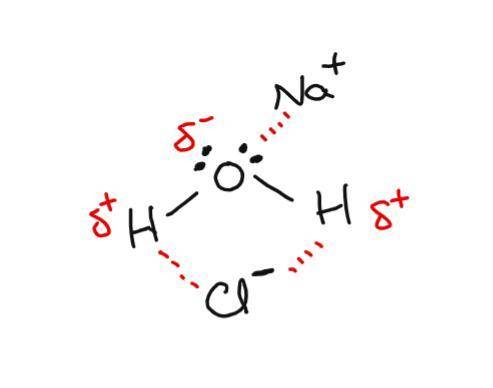 Awater molecule has polar o−h bonds that result in regions of partial positive charge (hydrogen atom