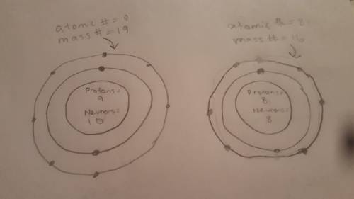 how would the structure of an atom that has an atomic number of 9 and a mass number of 19 differ fro