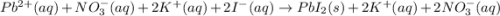 Pb^{2+}(aq)+NO_3^-(aq)+2K^+(aq)+2I^-(aq)\rightarrow PbI_2(s)+2K^+(aq)+2NO_3^-(aq)