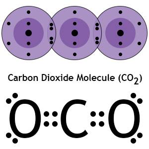What is the total number of outer (valence) electrons in carbon dioxide, co2?  answer?