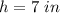 h=7\ in